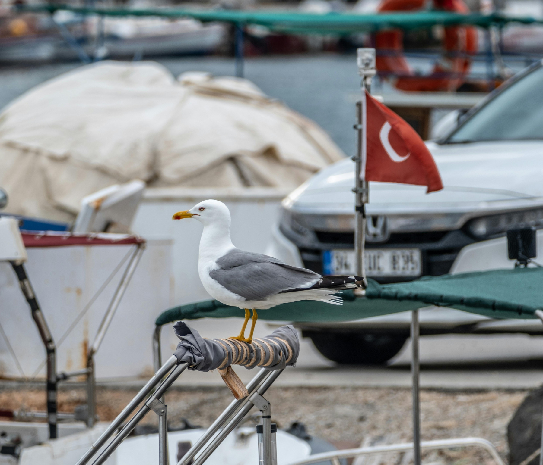 Pietų Turkijos kurortai ir uostai, kuriuos privalote pamatyti