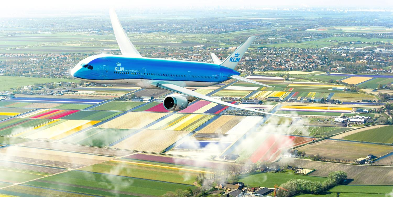 Aviakompanijų KLM/Air France „Blue Biz“ ir „Flying blue“ lojalumo programos