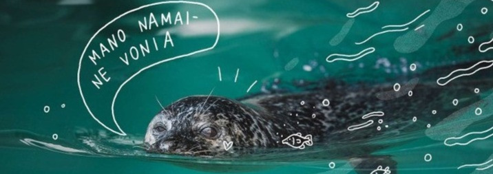 Padėkime Baltijos ruoniams grįžti į namus!