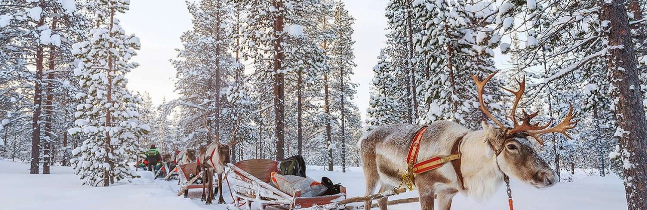 Pažintinė kelionė autobusu į Laplandiją - aplankykite Kalėdų senelio gimtinę vos už 519€