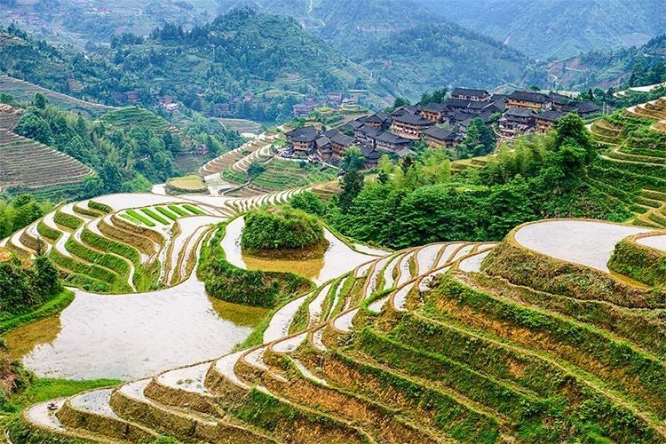 Prisijaukinti Kiniją - Guilin