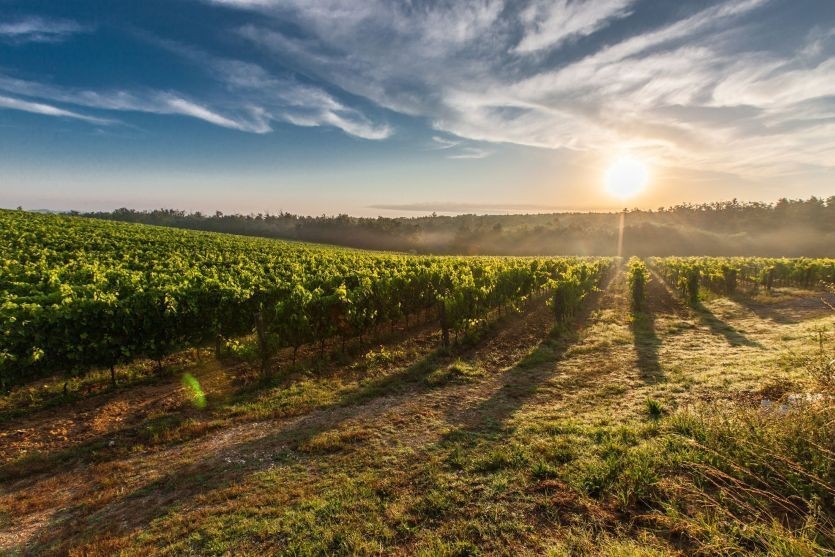 Kelionė į Italiją, Toskaną