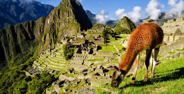 Peru