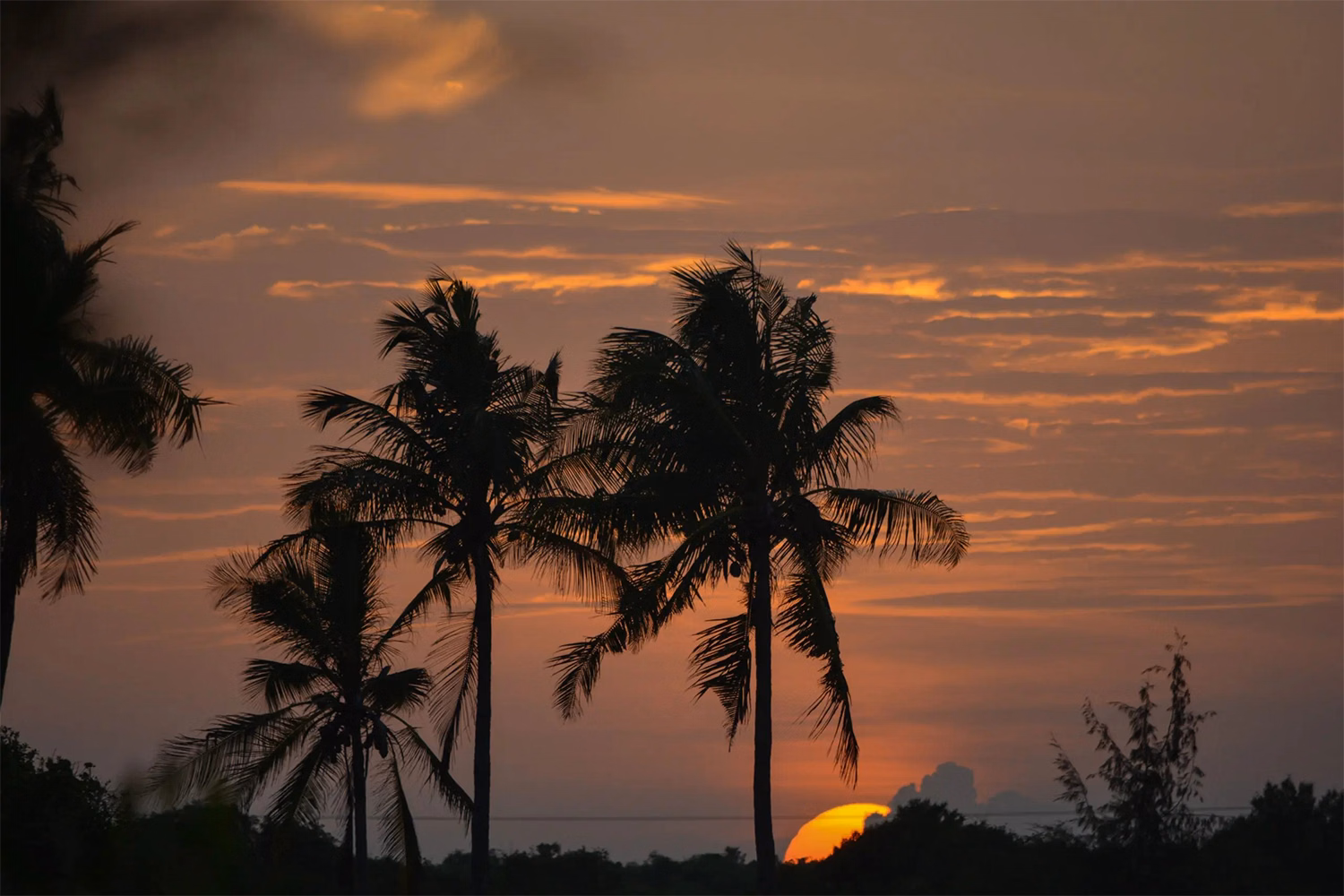 Reef & Beach Resort