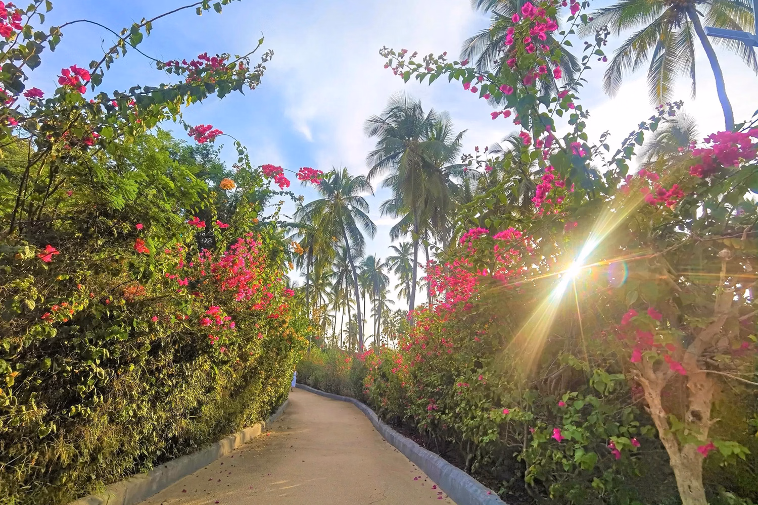 Reef & Beach Resort