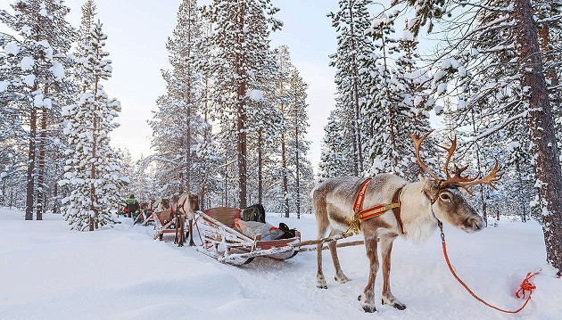 Pažintinė kelionė autobusu į Laplandiją - aplankykite Kalėdų senelio gimtinę vos už 519€