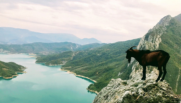Užburiančios atostogos Albanijos pakrantėje: 4★ Horizont viešbutis su viskas įskaičiuota tik 659€